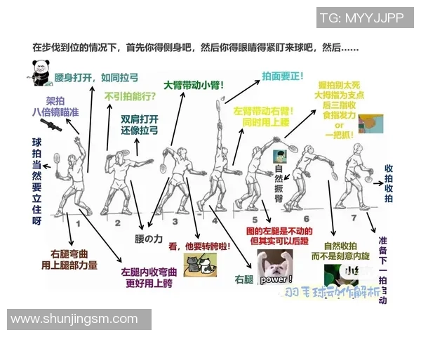 武汉羽毛球队反击战术深度解析与实战应用探讨 武汉羽毛球队反击战术深度解析与实战应用探讨