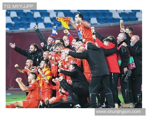 美国足球明星的辉煌历程与成就解析