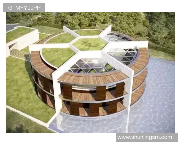 足球明星奢华别墅房间揭秘独特设计与生活方式的完美结合 足球明星奢华别墅房间揭秘独特设计与生活方式的完美结合