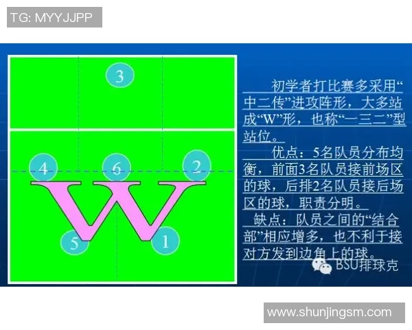排球焦点：武汉排球队的战术探讨