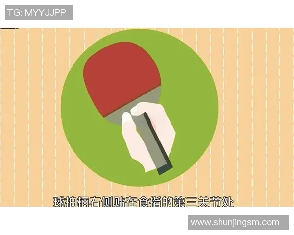 乒乓球新手攻略：战术入门指南_1