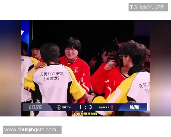 热议王者荣耀:TES的团队协作变革 热议王者荣耀:TES的团队协作变革